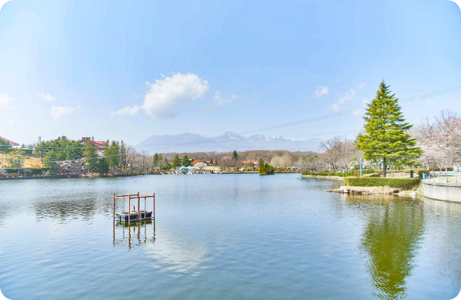 牧場内には沢山のアトラクションも用意されており、迷路やジップラインなどを楽しむ。