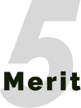 Merit 5