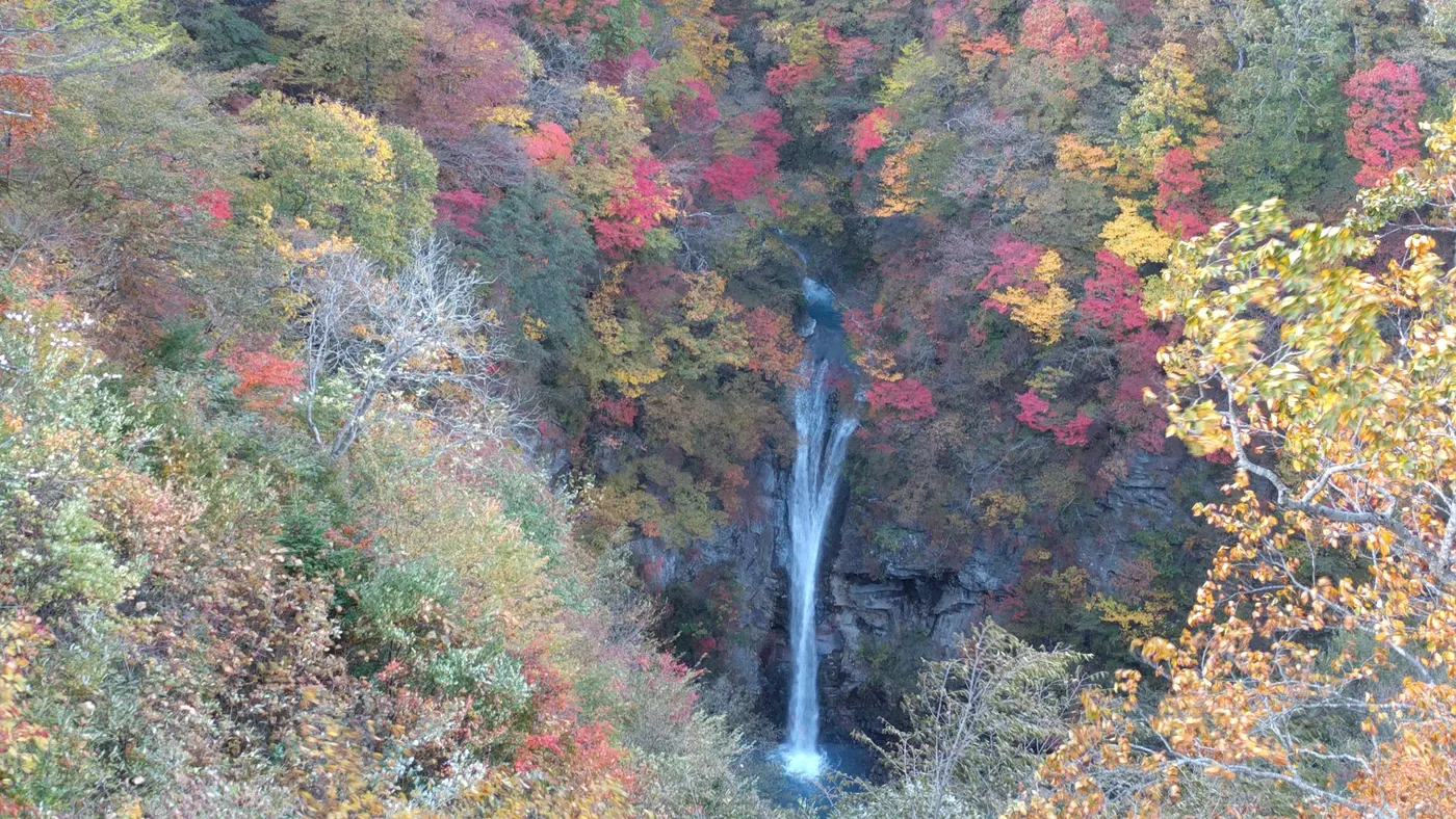赤や黄色に色づいた谷を落ちる駒止の滝