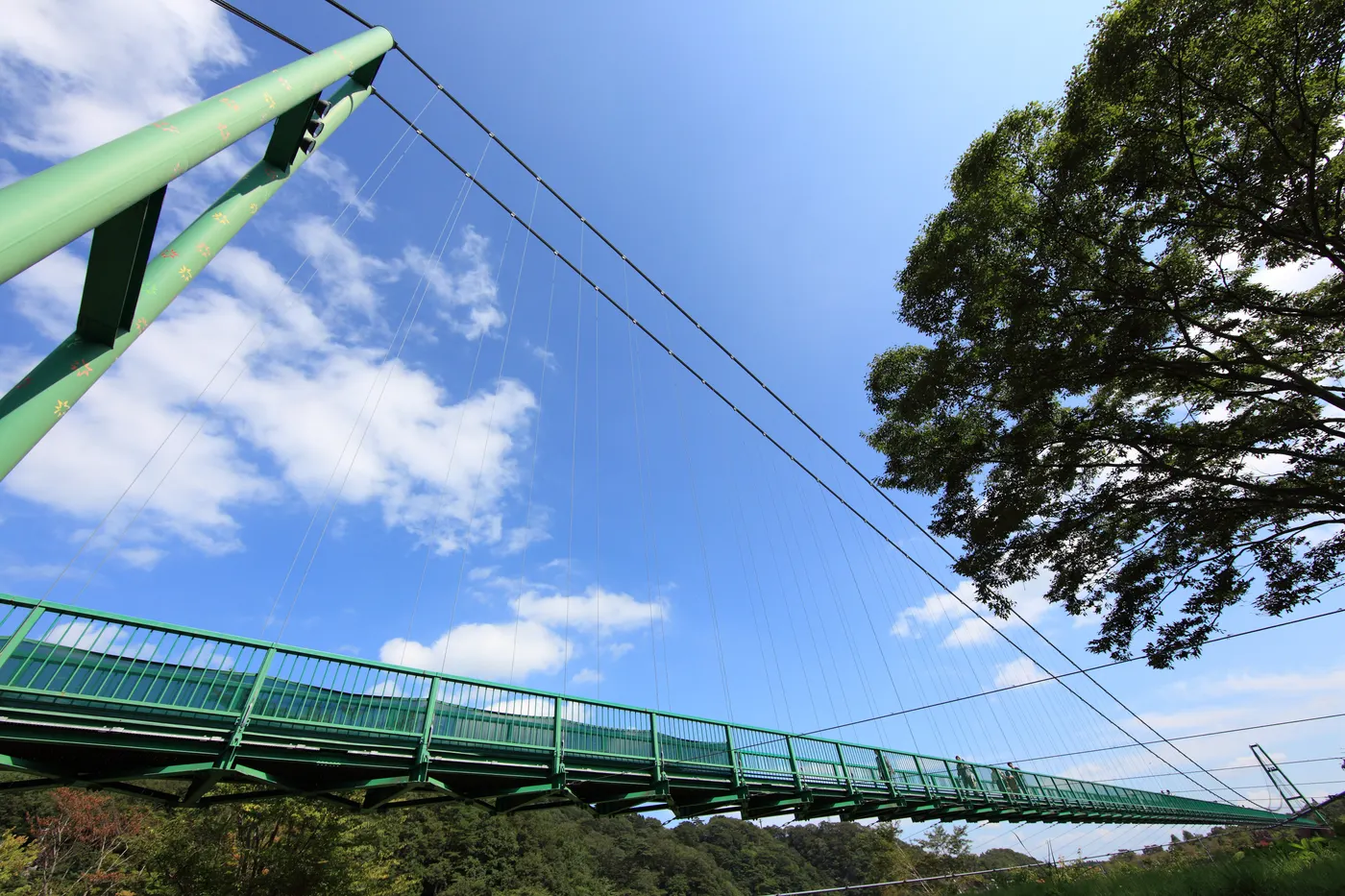 下から見上げたもみじ谷大吊橋と青空